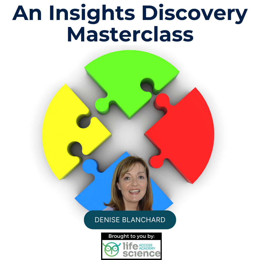 An Insights Discovery Masterclass