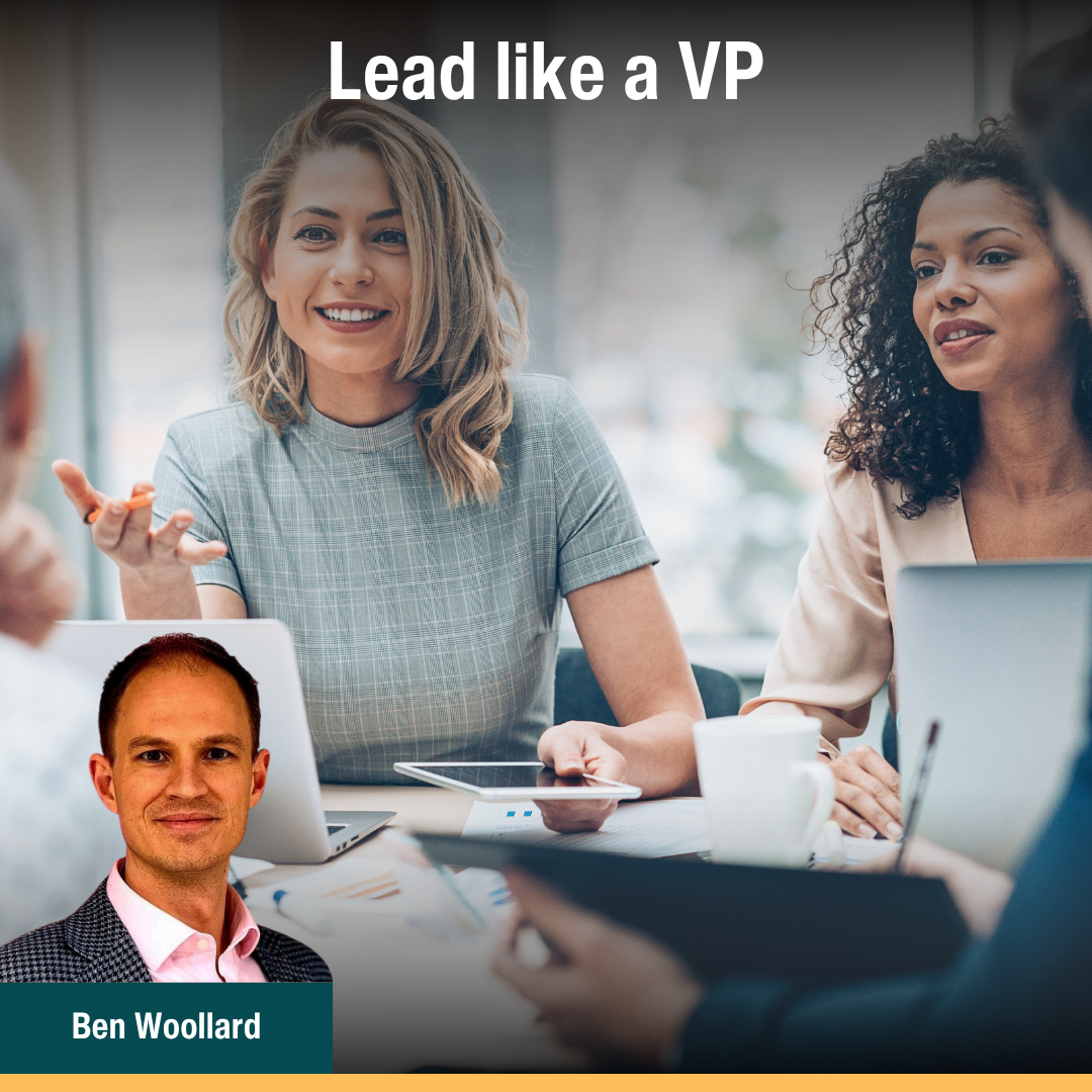 Lead like a VP